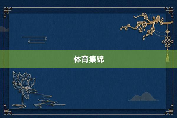 体育集锦