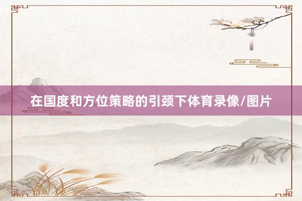 在国度和方位策略的引颈下体育录像/图片