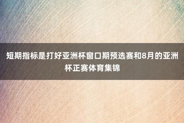 短期指标是打好亚洲杯窗口期预选赛和8月的亚洲杯正赛体育集锦