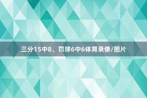 三分15中8、罚球6中6体育录像/图片