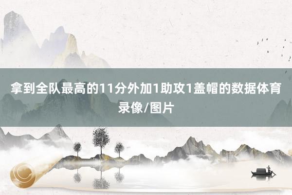 拿到全队最高的11分外加1助攻1盖帽的数据体育录像/图片