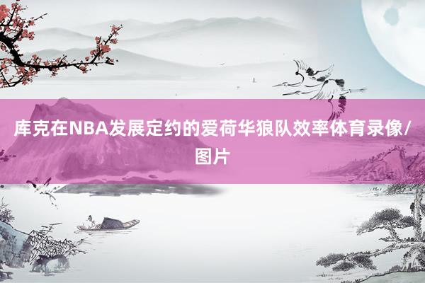 库克在NBA发展定约的爱荷华狼队效率体育录像/图片