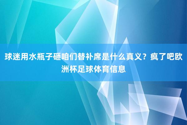 球迷用水瓶子砸咱们替补席是什么真义？疯了吧欧洲杯足球体育信息