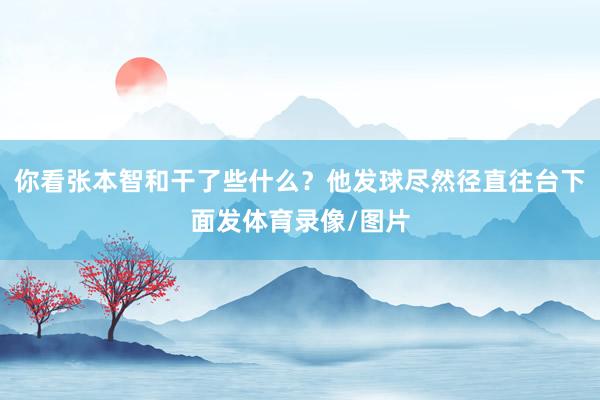 你看张本智和干了些什么？他发球尽然径直往台下面发体育录像/图片