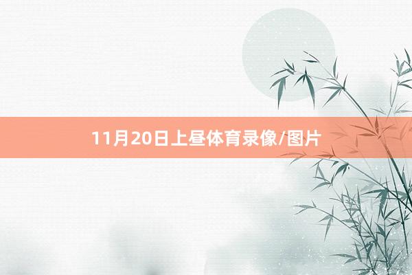11月20日上昼体育录像/图片