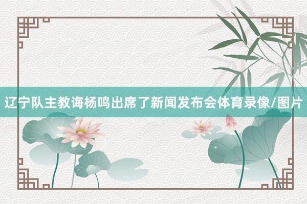 辽宁队主教诲杨鸣出席了新闻发布会体育录像/图片