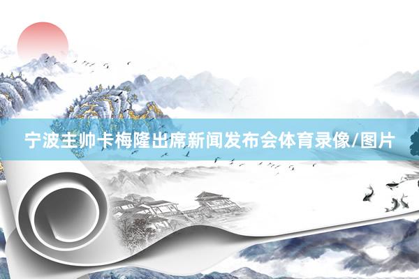 宁波主帅卡梅隆出席新闻发布会体育录像/图片
