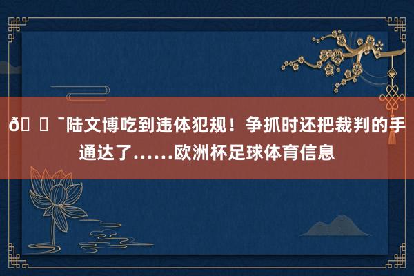 😯陆文博吃到违体犯规！争抓时还把裁判的手通达了……欧洲杯足球体育信息