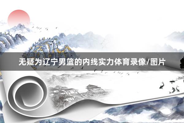 无疑为辽宁男篮的内线实力体育录像/图片