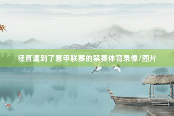 径直遭到了意甲联赛的禁赛体育录像/图片