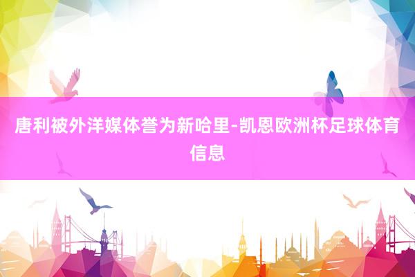 唐利被外洋媒体誉为新哈里-凯恩欧洲杯足球体育信息