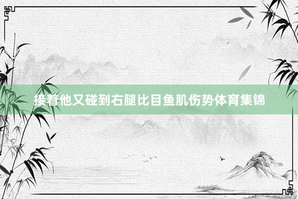 接着他又碰到右腿比目鱼肌伤势体育集锦