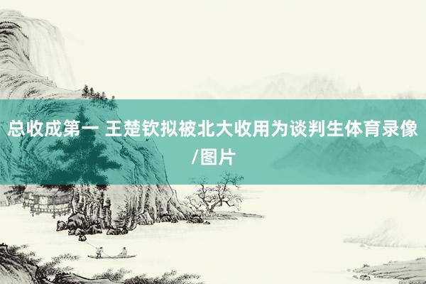 总收成第一 王楚钦拟被北大收用为谈判生体育录像/图片