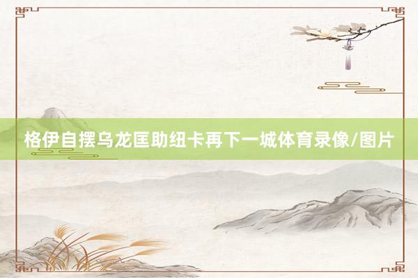 格伊自摆乌龙匡助纽卡再下一城体育录像/图片