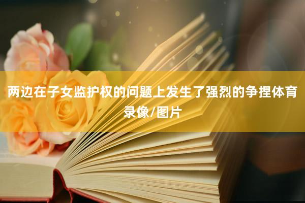 两边在子女监护权的问题上发生了强烈的争捏体育录像/图片