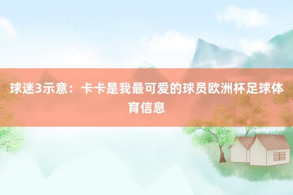 球迷3示意：卡卡是我最可爱的球员欧洲杯足球体育信息