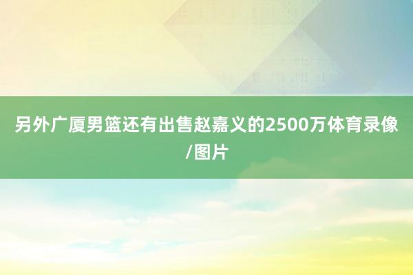 另外广厦男篮还有出售赵嘉义的2500万体育录像/图片