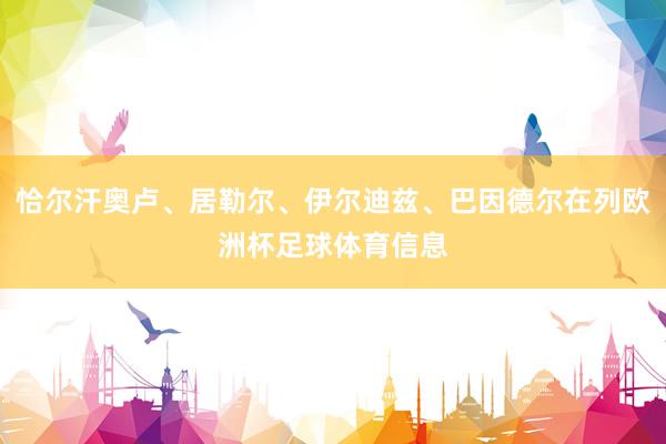 恰尔汗奥卢、居勒尔、伊尔迪兹、巴因德尔在列欧洲杯足球体育信息