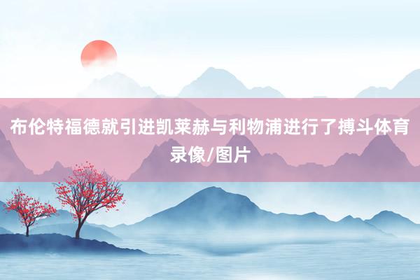 布伦特福德就引进凯莱赫与利物浦进行了搏斗体育录像/图片