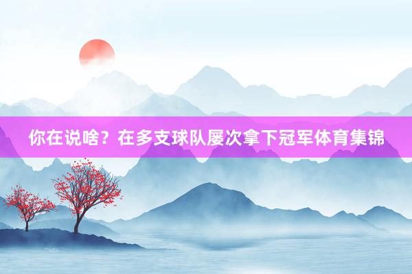 你在说啥？在多支球队屡次拿下冠军体育集锦