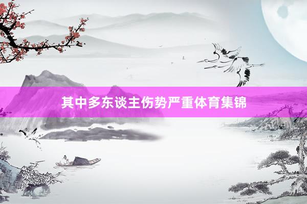 其中多东谈主伤势严重体育集锦