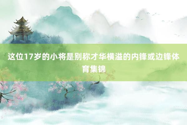 这位17岁的小将是别称才华横溢的内锋或边锋体育集锦