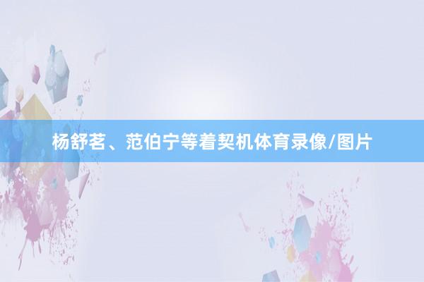 杨舒茗、范伯宁等着契机体育录像/图片