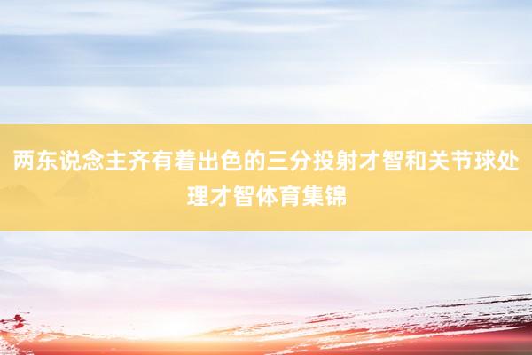 两东说念主齐有着出色的三分投射才智和关节球处理才智体育集锦