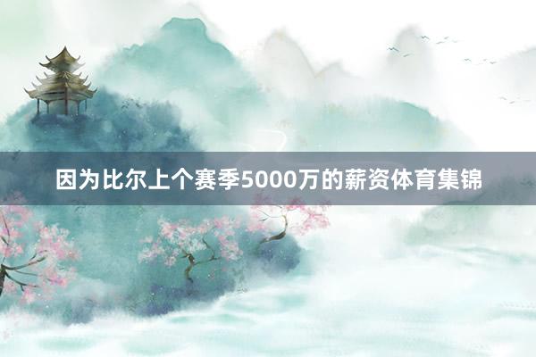 因为比尔上个赛季5000万的薪资体育集锦