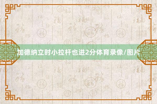 加德纳立时小拉杆也进2分体育录像/图片