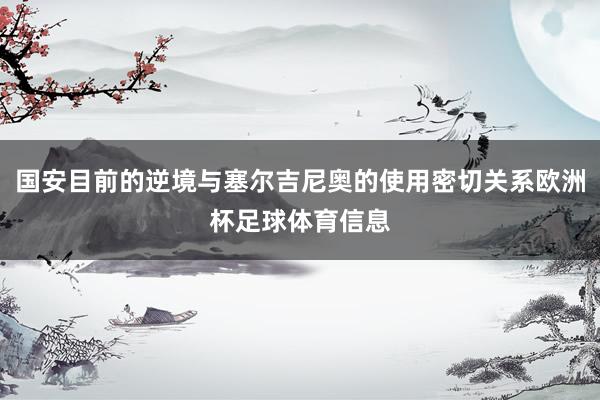 国安目前的逆境与塞尔吉尼奥的使用密切关系欧洲杯足球体育信息