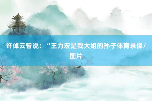 许倬云曾说：“王力宏是我大姐的孙子体育录像/图片