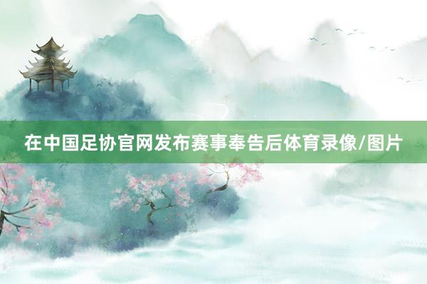 在中国足协官网发布赛事奉告后体育录像/图片