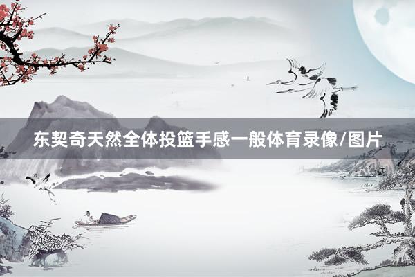 东契奇天然全体投篮手感一般体育录像/图片