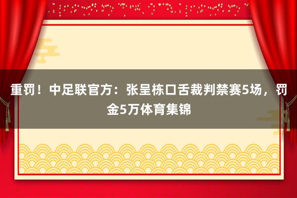 重罚！中足联官方：张呈栋口舌裁判禁赛5场，罚金5万体育集锦