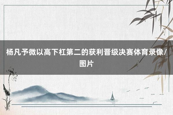 杨凡予微以高下杠第二的获利晋级决赛体育录像/图片