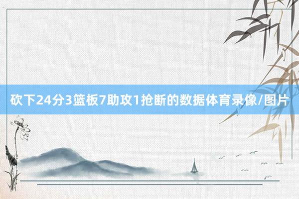 砍下24分3篮板7助攻1抢断的数据体育录像/图片