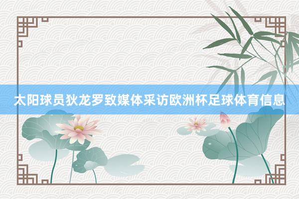 太阳球员狄龙罗致媒体采访欧洲杯足球体育信息