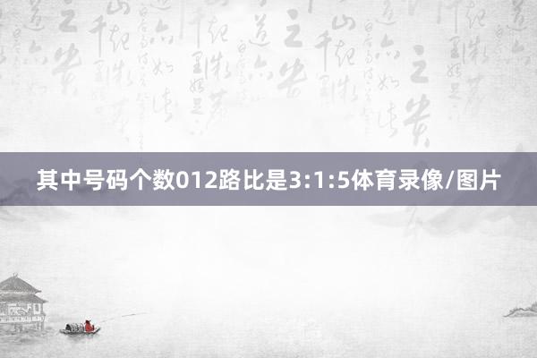其中号码个数012路比是3:1:5体育录像/图片