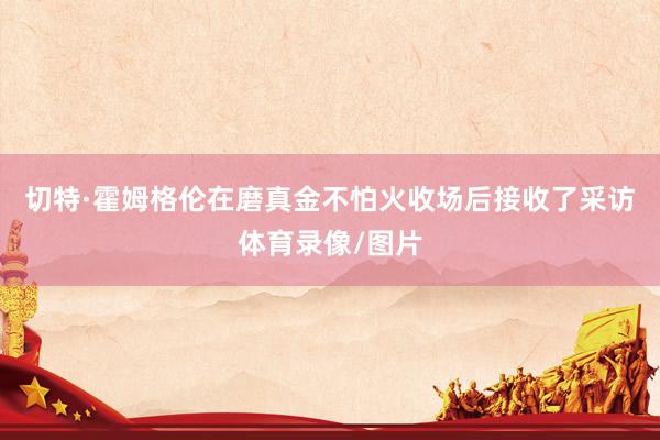切特·霍姆格伦在磨真金不怕火收场后接收了采访体育录像/图片