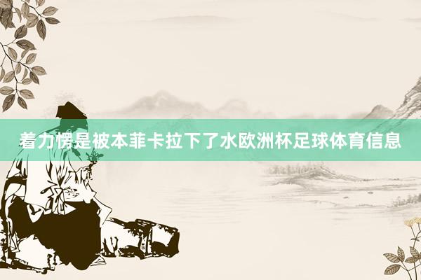 着力愣是被本菲卡拉下了水欧洲杯足球体育信息
