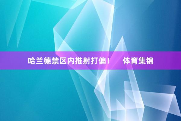 哈兰德禁区内推射打偏！    体育集锦