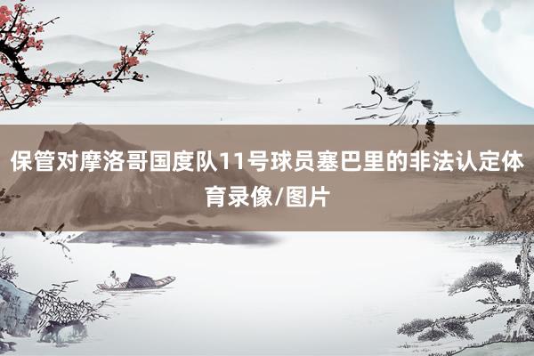 保管对摩洛哥国度队11号球员塞巴里的非法认定体育录像/图片