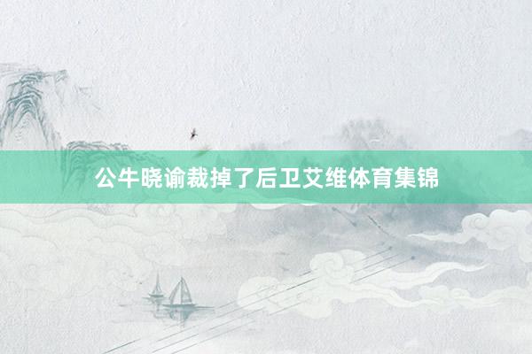 公牛晓谕裁掉了后卫艾维体育集锦