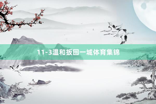 11-3温和扳回一城体育集锦