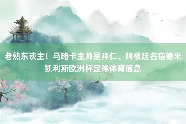 老熟东谈主！马略卡主帅是拜仁、阿根廷名宿德米凯利斯欧洲杯足球体育信息