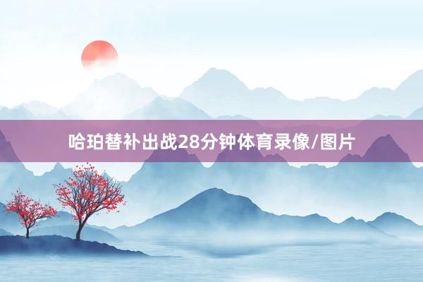 哈珀替补出战28分钟体育录像/图片