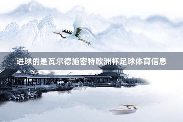 进球的是瓦尔德施密特欧洲杯足球体育信息