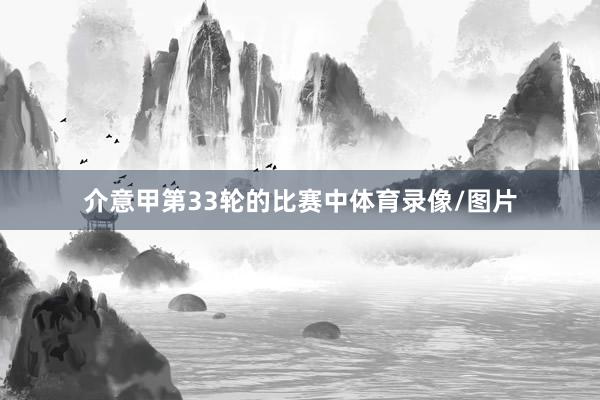 介意甲第33轮的比赛中体育录像/图片