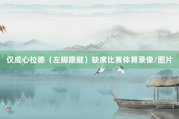 仅成心拉德（左脚跟腱）缺席比赛体育录像/图片